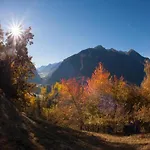 Appartement Scenic In Location