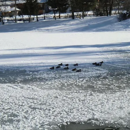 Daire Scenic In Location Rehoboth Beach