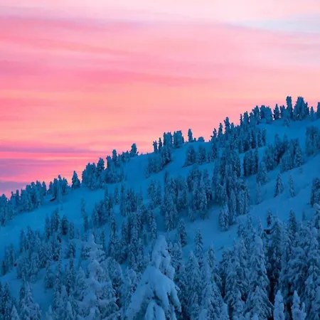 Scenic In Location Rehoboth Beach