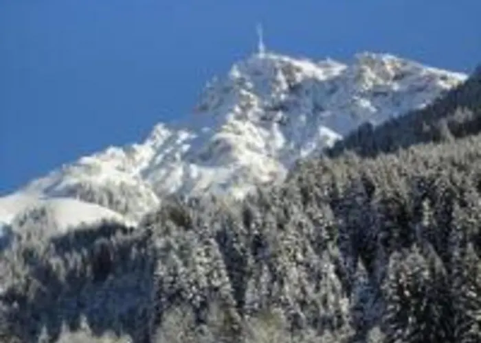 Appartement Scenic In Location Neustift im Stubaital