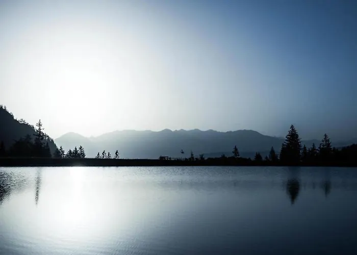 Appartement Scenic In Location *